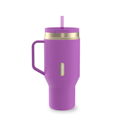 Contigo 30 oz Stainless Steel Water Bottle Tumbler with Straw – Leak-Proof Insulated Travel Mug, Reusable Water - Tumbler